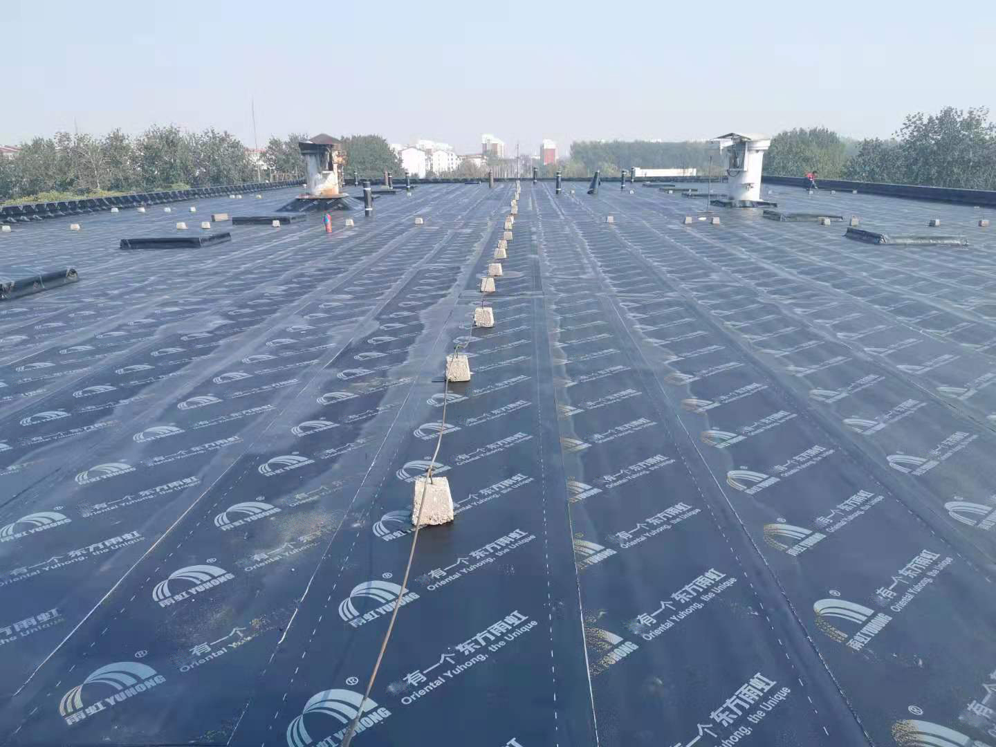 k豆钱包官方网站 - KDpay钱包