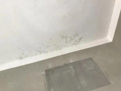 k豆钱包官方网站 - KDpay钱包
