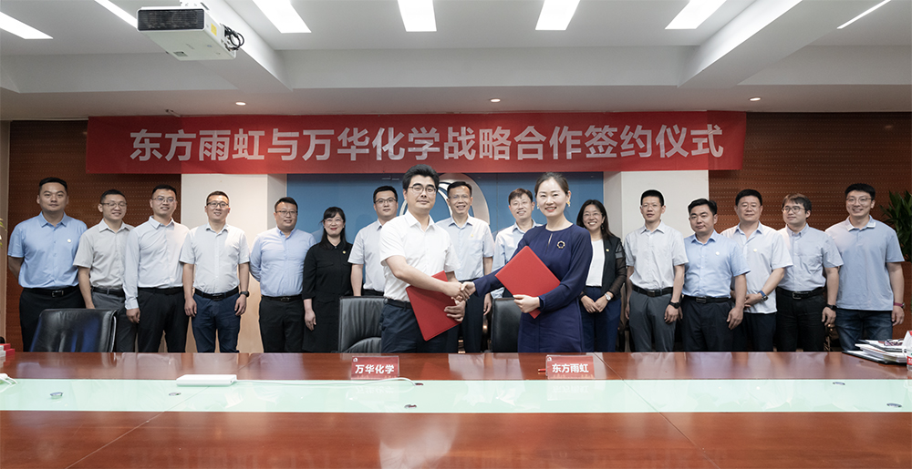 k豆钱包官方网站 - KDpay钱包