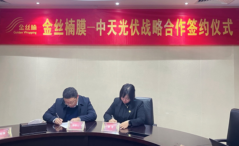 k豆钱包官方网站 - KDpay钱包