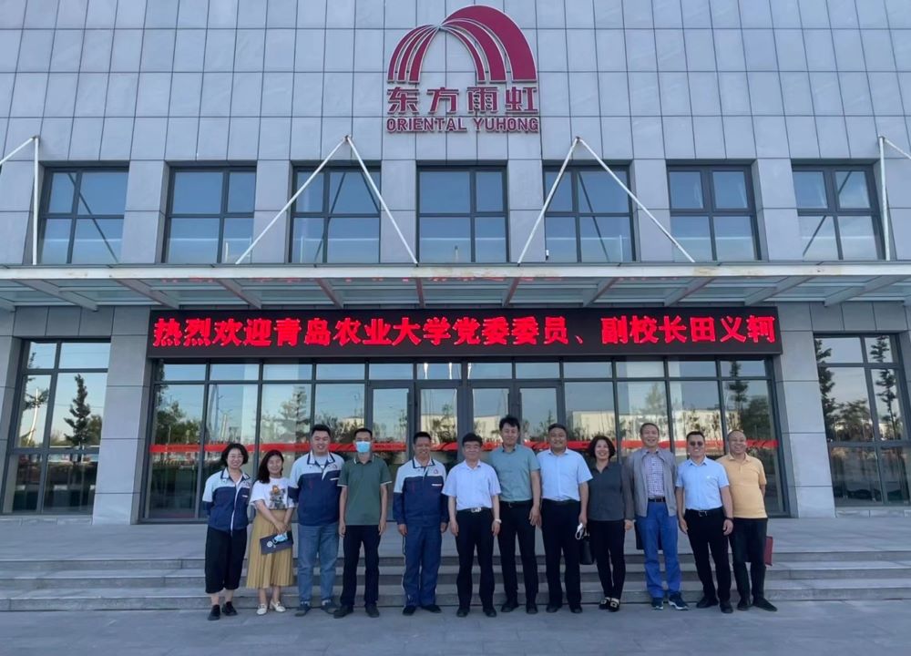 k豆钱包官方网站 - KDpay钱包